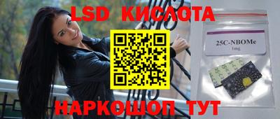 a pvp Новодвинск