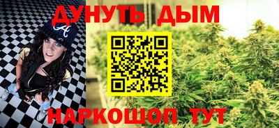 a pvp Новодвинск